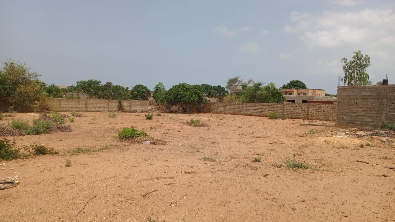 terrain 1600 mètres carrés  à vendre à Nguérigne