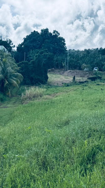 facade + terrasse + piscine