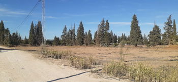 Vente 1 terrain akouda chat roman Sousse Tunisie