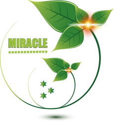 Lumière de vie l'abondance de la nature.