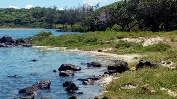 Vente Terrain pieds dans l&#039;eau toute propriete Mahébourg Ile Maurice