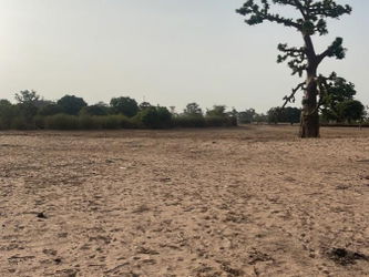 Vente terrain 8000 metres carrés Malicounda M&#039;Bour Sénégal