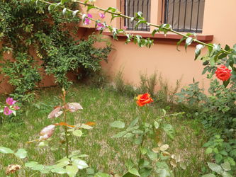 Jardin avant de villa