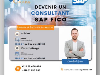 Annonce Formation SAP Fico [Métier Paramétrage] Tunis Tunisie