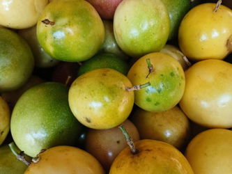 fruit de la passion