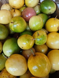 fruit de la passion
