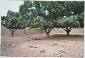 terrain constructible