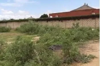 Vente Terrain 300m² Ngaparou Saly Portudal Sénégal