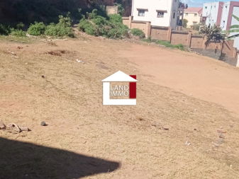 Vente Terrain plat 490m2 Mahalavolona Andoharanofotsy Antananarivo