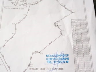 Vente d&#039;un Terrain Agricole 10 Ha entre thiès ndiagania M&#039;Bour Sénégal