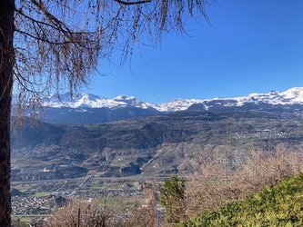 Vue dégagée