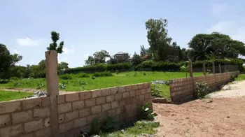 Vente Terrain 11000m2 pieds dans l&#039;eau warang M&#039;Bour Sénégal