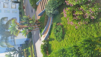 Vue jardin