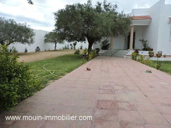 Vente VILLA ROSA r Hammamet Sud El Bassbassia Tunisie