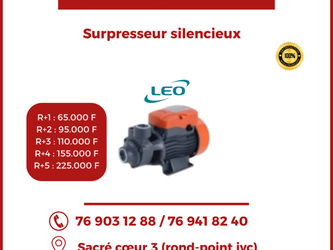 surpresseur leo
