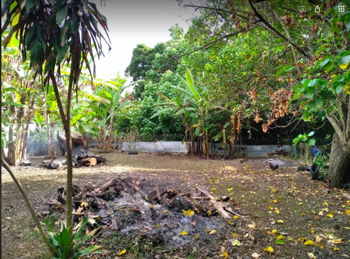 Vente MOOREA TEMAE Terrain Constructible Plus 1000 m² Moorea-Maiao