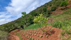 Propriétaire direct VEND  Un grand terrain de 29.750 m2 (2Ha97ca50a)  à 3km d'ambatolampikely RN2. Accessible, bord de route . Électricité et eau à proximité.  - Idéal pour projet agricole - Espace ( Loisirs, Auberge, sns ... ) - Grande usine  Papier (Titré, borné) 50.000Ar/m2 Contact : 033 76 085 86