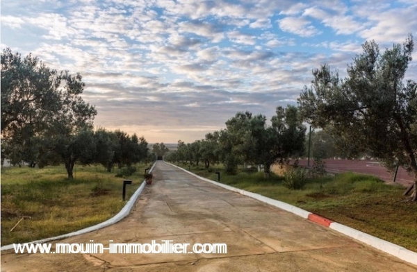 villa à vendre à hammamet el monchar