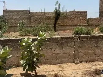 Vente terrain 300 metres carres saly Saly Portudal Sénégal