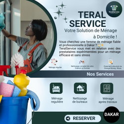 TeralService