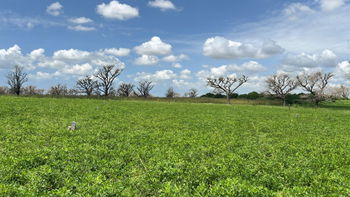 Terrain 600m2 à Malicounda