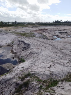 RN2 TAMATAVE