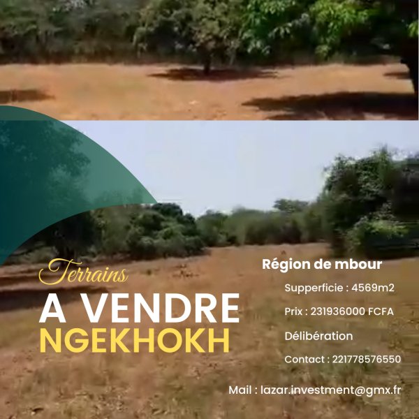 Annonce Vente Terrains ngekhokh M'Bour Sénégal