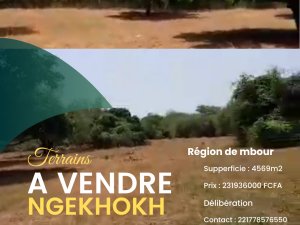 Annonce Vente Terrains ngekhokh M&#039;Bour Sénégal