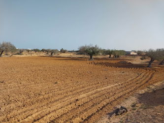 Vente 1 terrain 3300 Midoun Medenine Tunisie