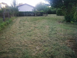 VASTE TERRAIN