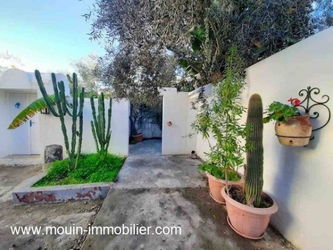 Annonce location APPARTEMENT CACTUS 2 Hammamet Zone Théâtre Tunisie