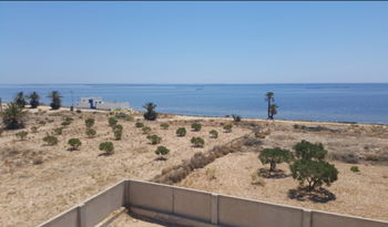 Annonce Vente Kerkennah Terrain bâtir Vue mer Titre Foncier individuel Sfax