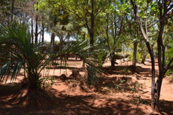Antsirabe - 10 OOOm² de terrain arboré dans un secteur en plein développement