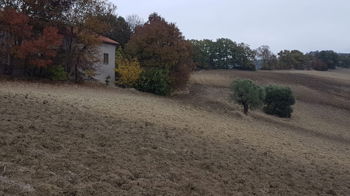 Vente 11 hectares terrain Italie Bari