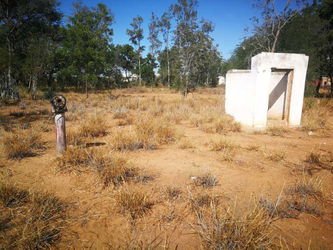 Annonce Vente Terrain plat boisé 149877m2 fort potentiel agricole Betsinjaka bas Tuléar Madagascar Toliara