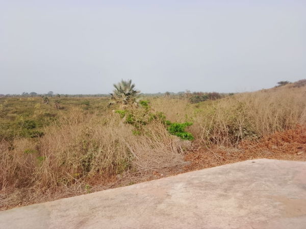 Terrain  de 500 m²