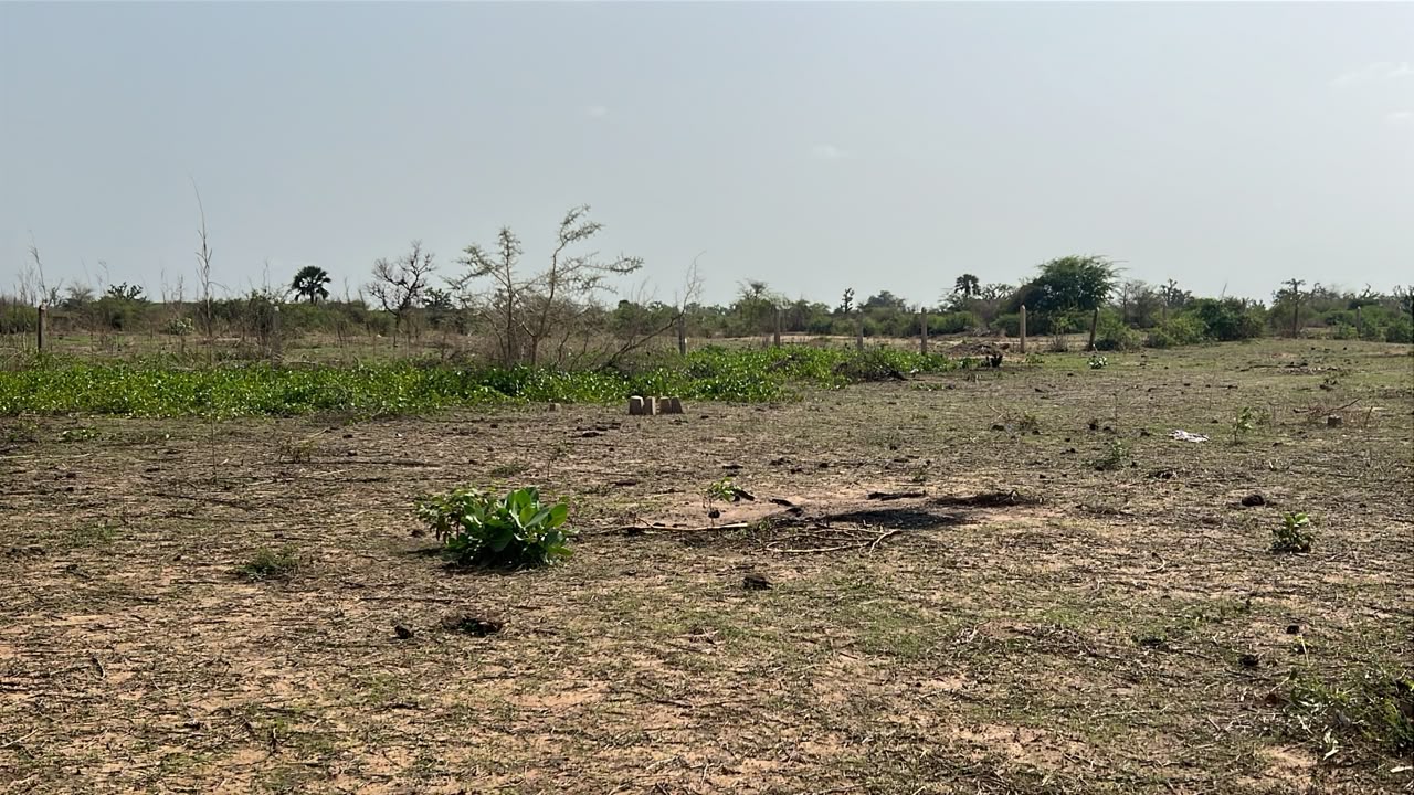 terrains 300 mètres carrés  à vendre à Somone