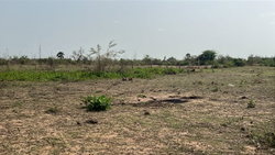terrains 300 mètres carrés  à vendre à Somone