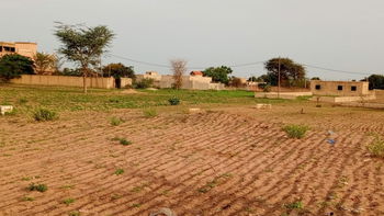 terrain de 600m2 à Nguérigne sythiane