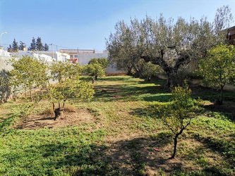 Vente Lot Terrain Hammamet Tunisie