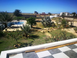 terrain + jardin