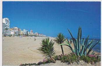plage de Oliva