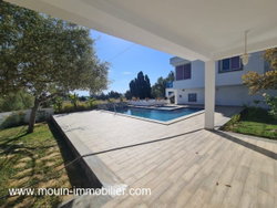 PISCINE ET TERRASSE