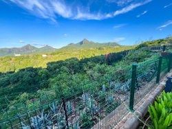 Vue montagne
