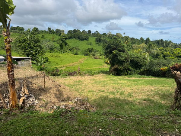 facade + terrasse + piscine