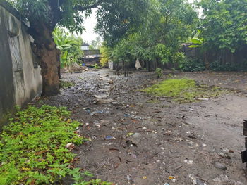 Vente Terrain Titré Borné forme L sis Ankirihiry Toamasina Madagascar