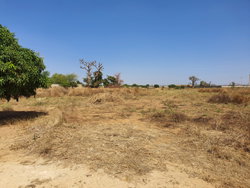 TERRAIN