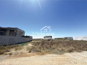 Vente Terrain Haroun Douikhla PRIX IMBATTABLE Hammamet Tunisie