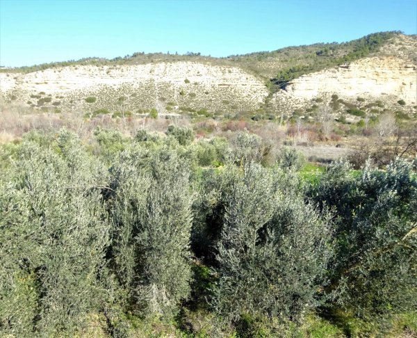 Vente Terrain in Nonaspe Aragon 0868 Saragosse Espagne