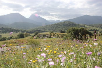 Vente Jolie maison campagne dans parc national Grazalema province Cadix